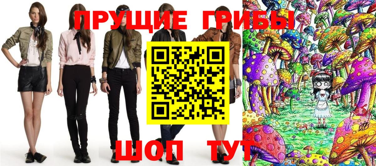 Псилоцибиновые грибы Psilocybine cubensis  Вход с VPN  Сосновоборск  Псилоцибиновые грибы мицелий 